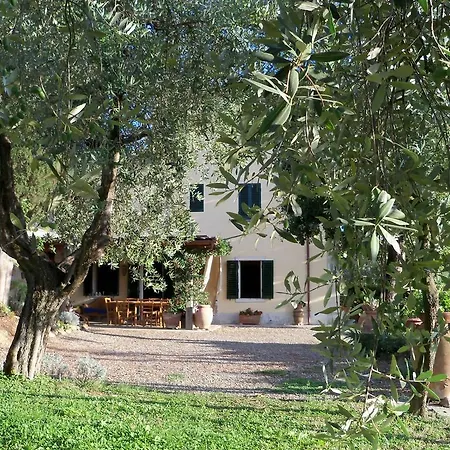 Ferienhaus 